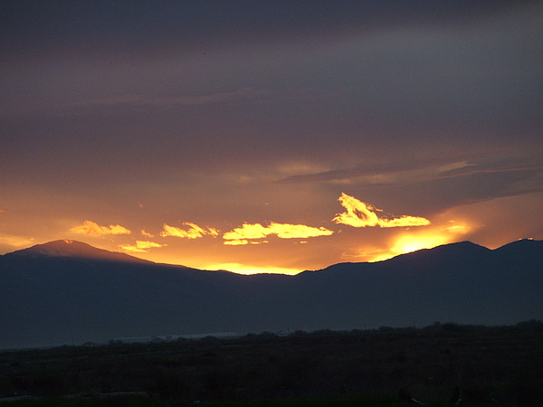 fire in the sky by Shari Chavira fire in the sky by Shari Chavira
